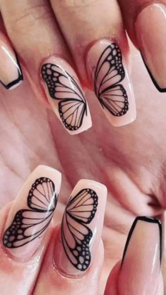 Butterfly Design