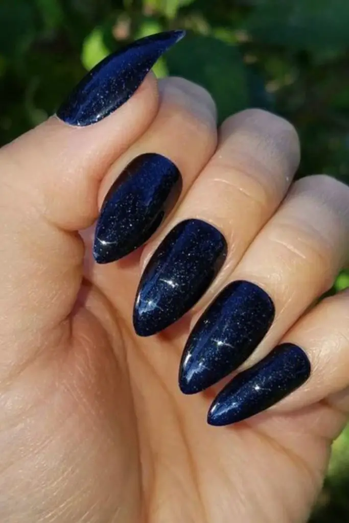 Dark matte midnight velvet gothic nails