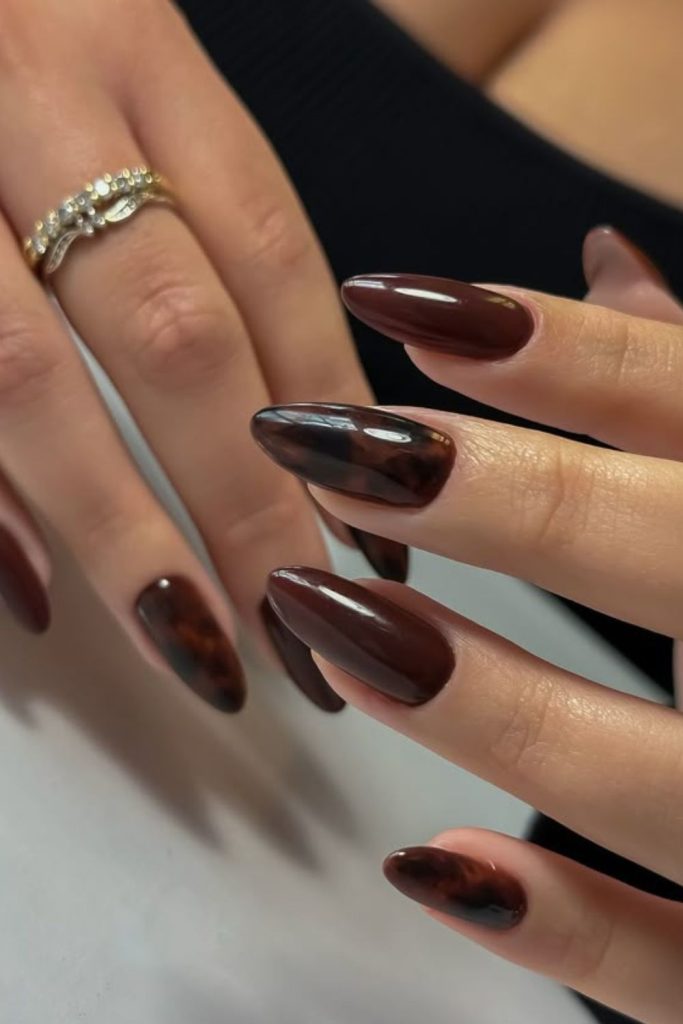 Chocolate silk smooth shiny brown nails