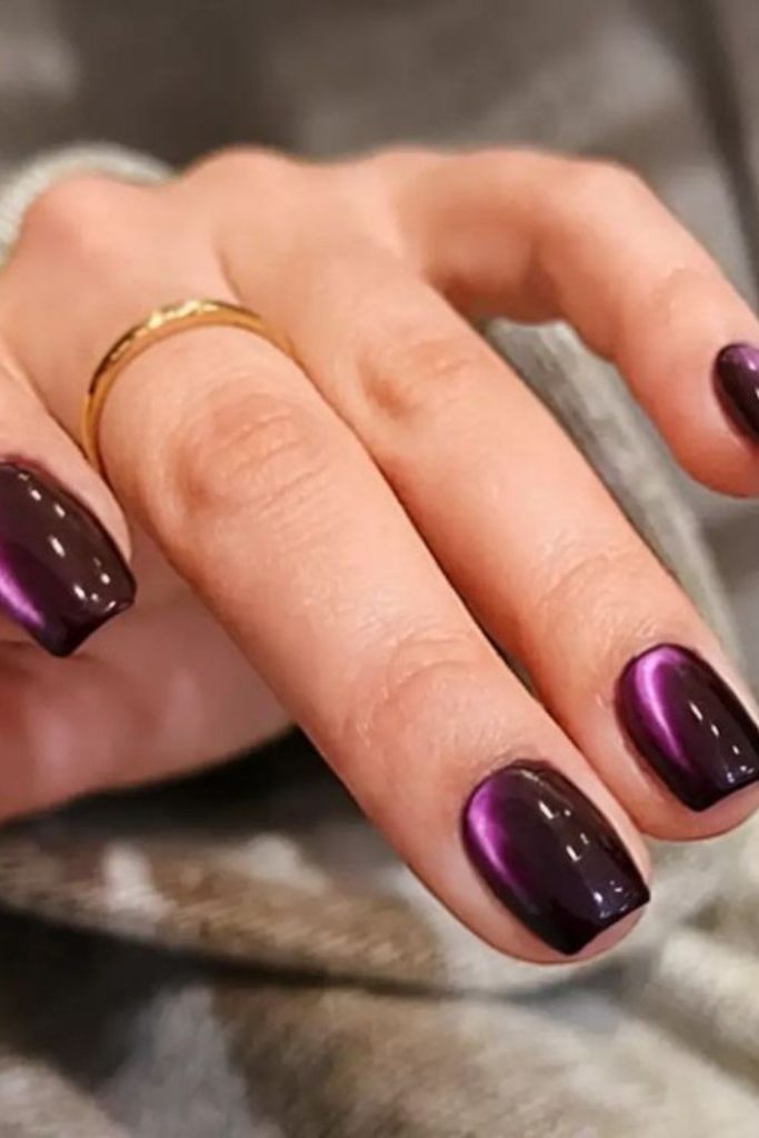 Velvet plum cat eye nails