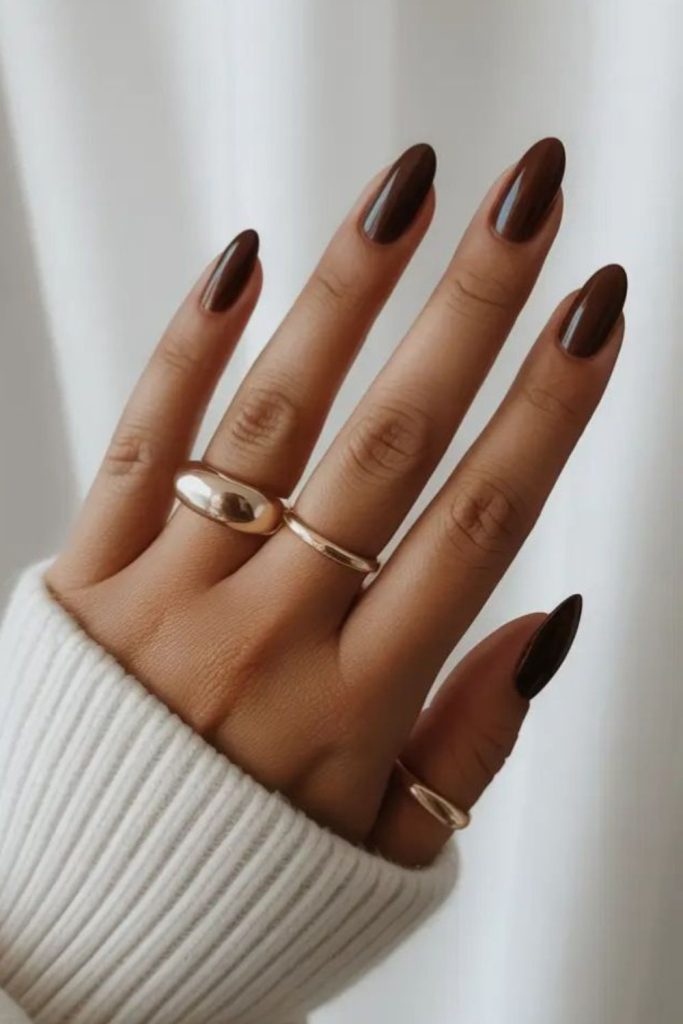 Glossy cocoa brown chic nails.