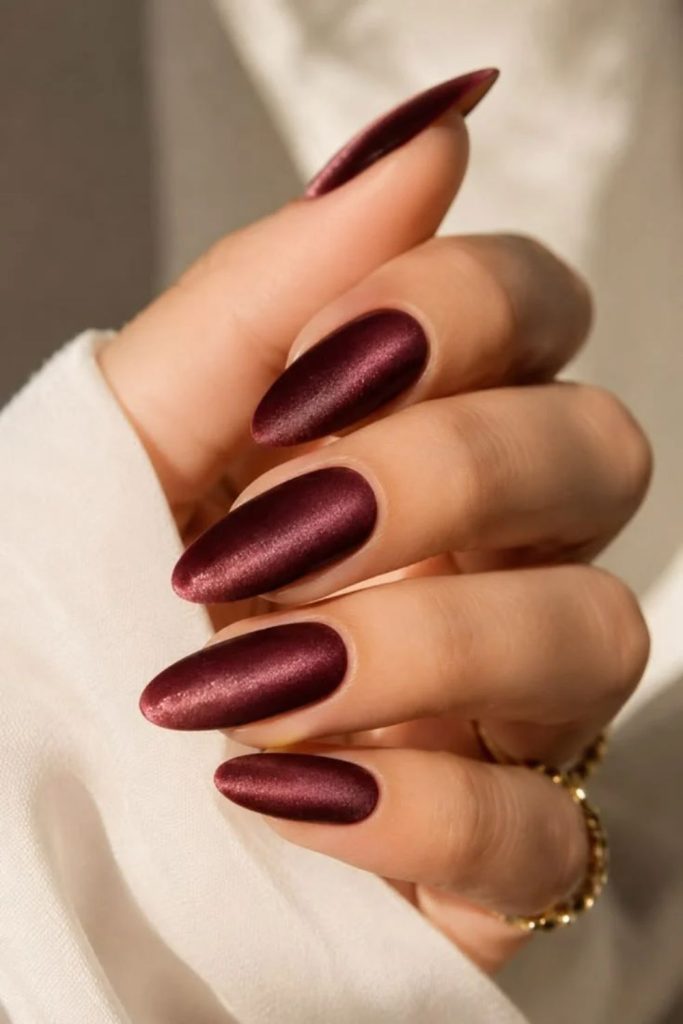 Burgundy velvet luxe magnetic nails