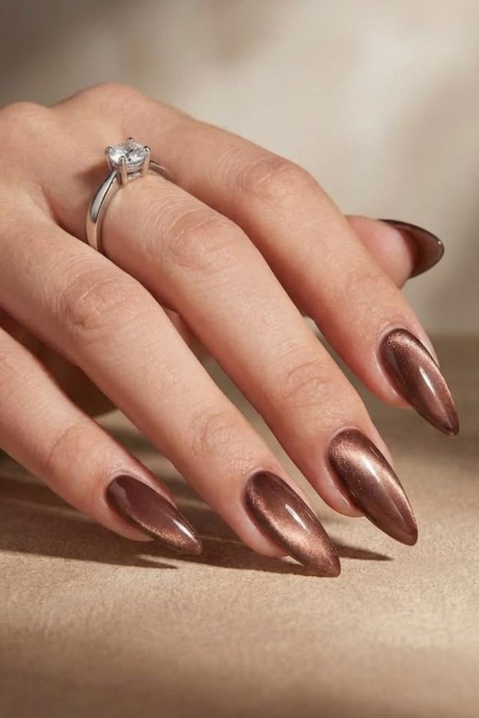 Cocoa brown velvet magnetic nails