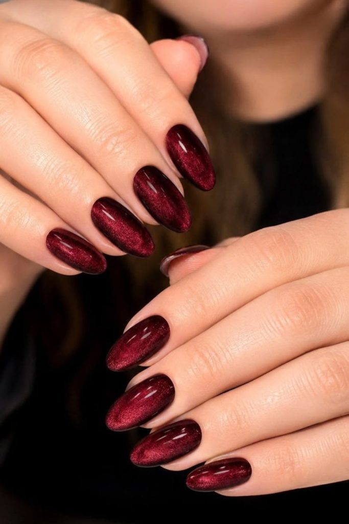 Ruby wine velvet magnetic nails