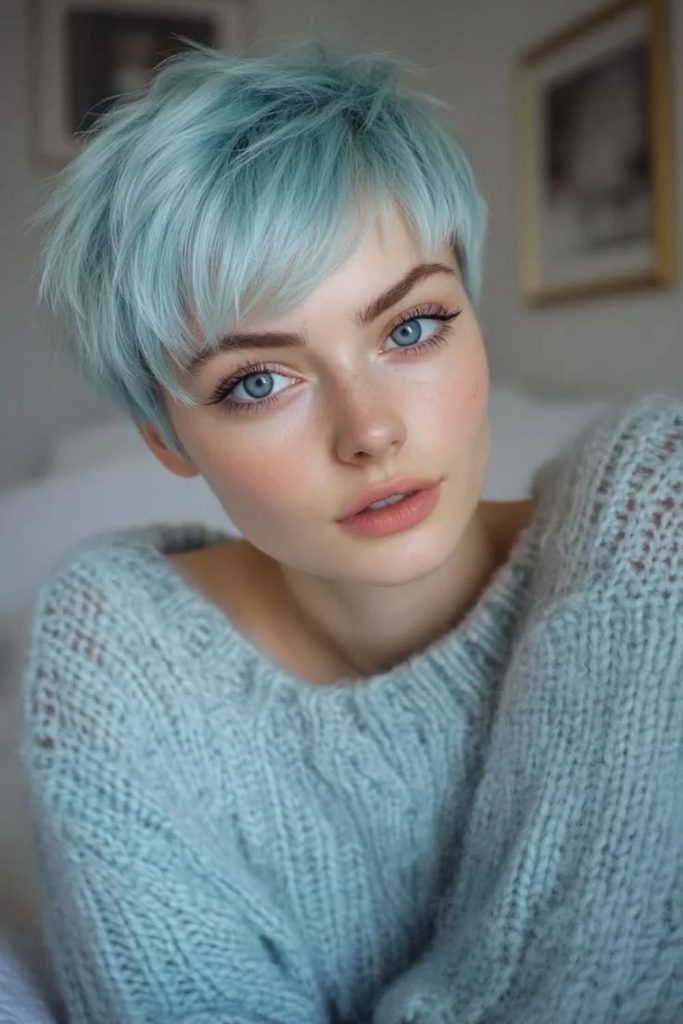 Icy blue micro pixie bob.