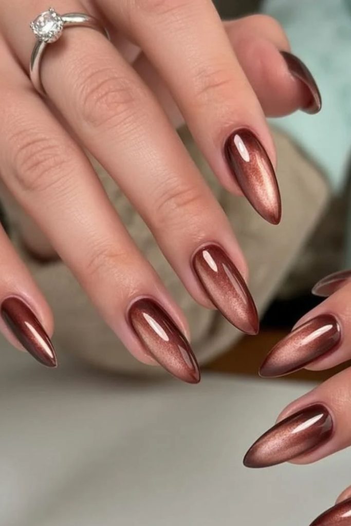Cherry mocha magnetic cat-eye nails.